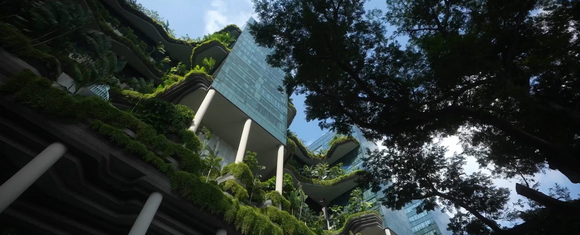 Bild eines von außen begrünten Hochhauses in Singapur